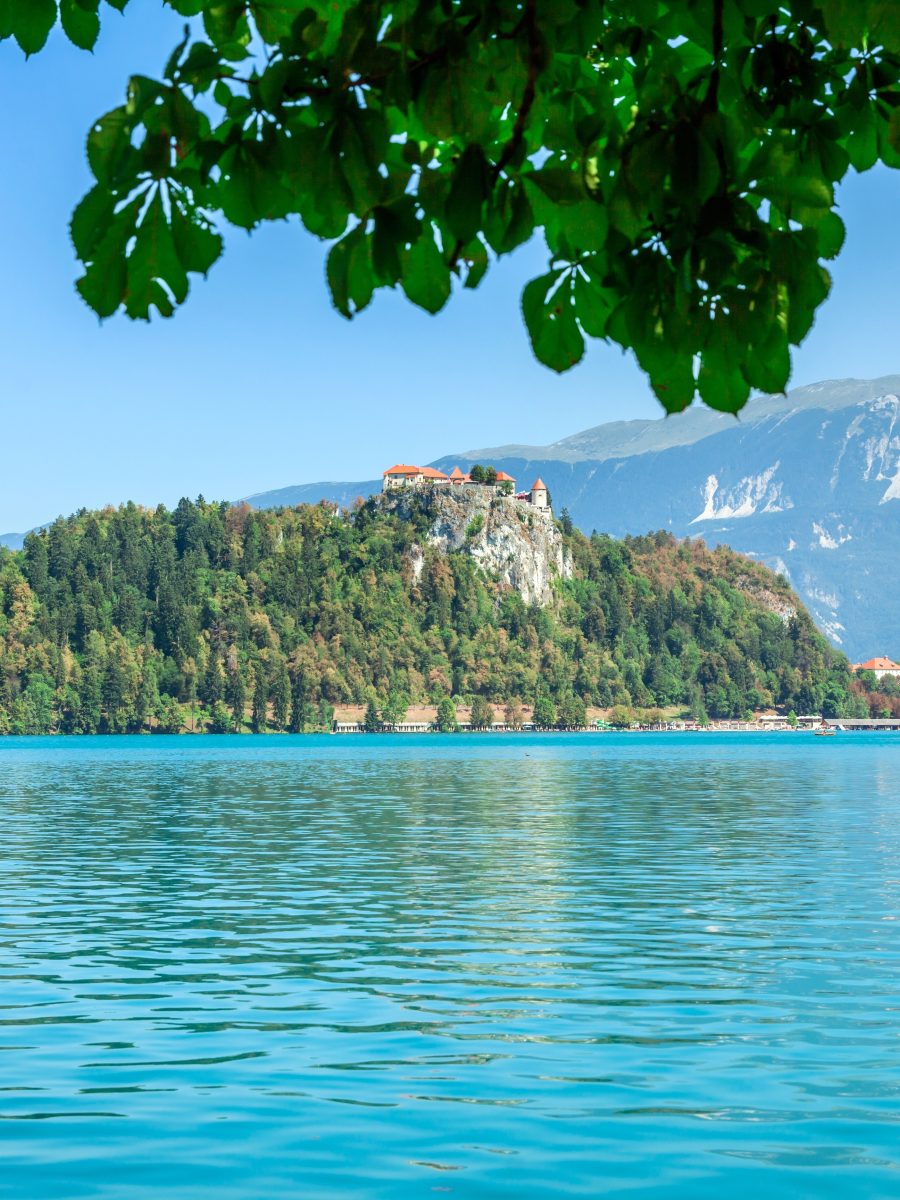 summer time and a lake looks gorgeous